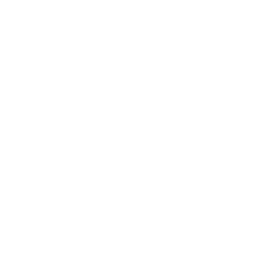 erlus